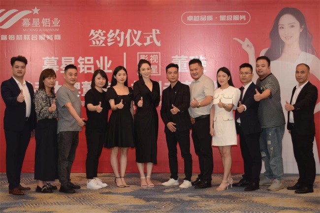 幕(mù)星鋁業 麻花影视鋁業